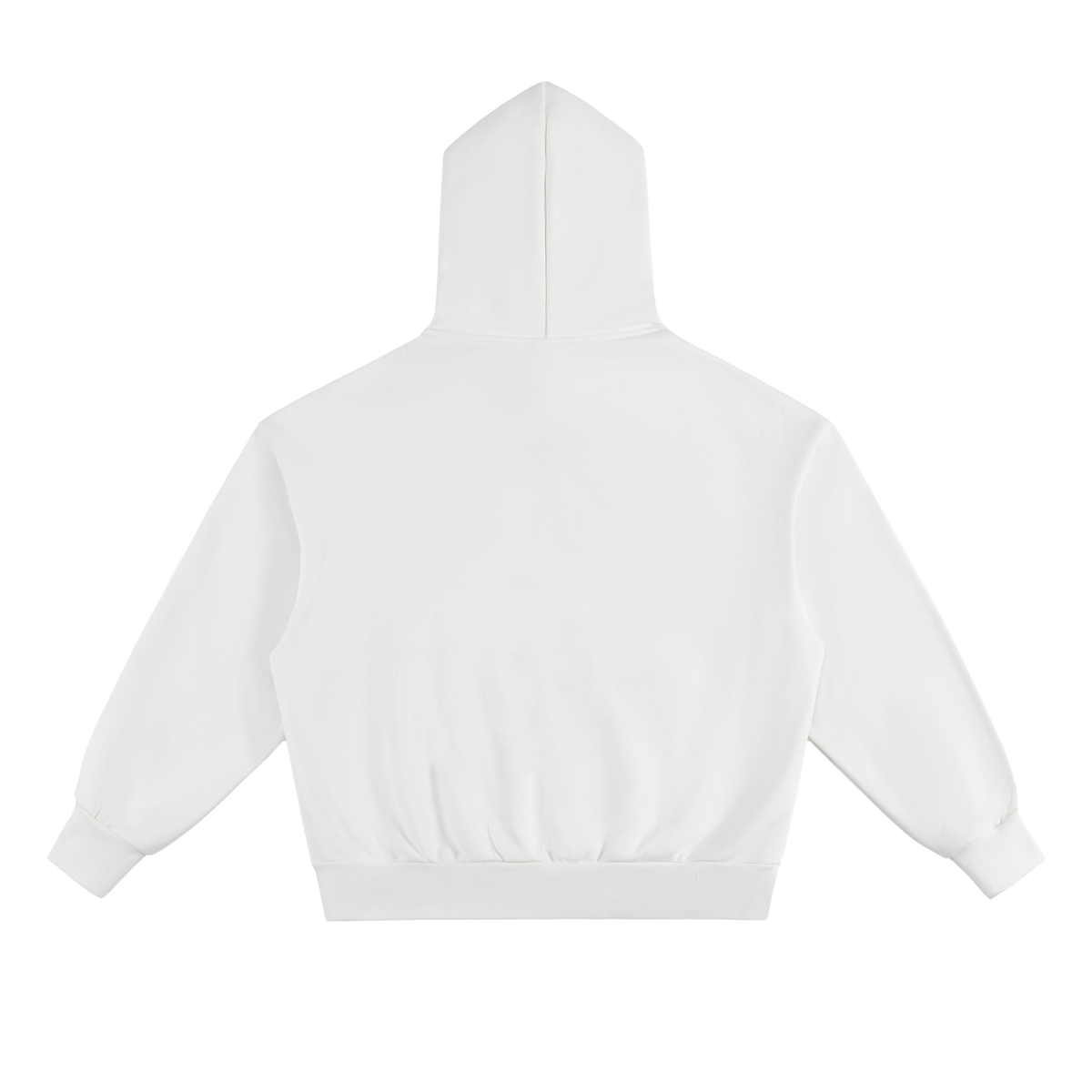 RG BLOCK HOODIE